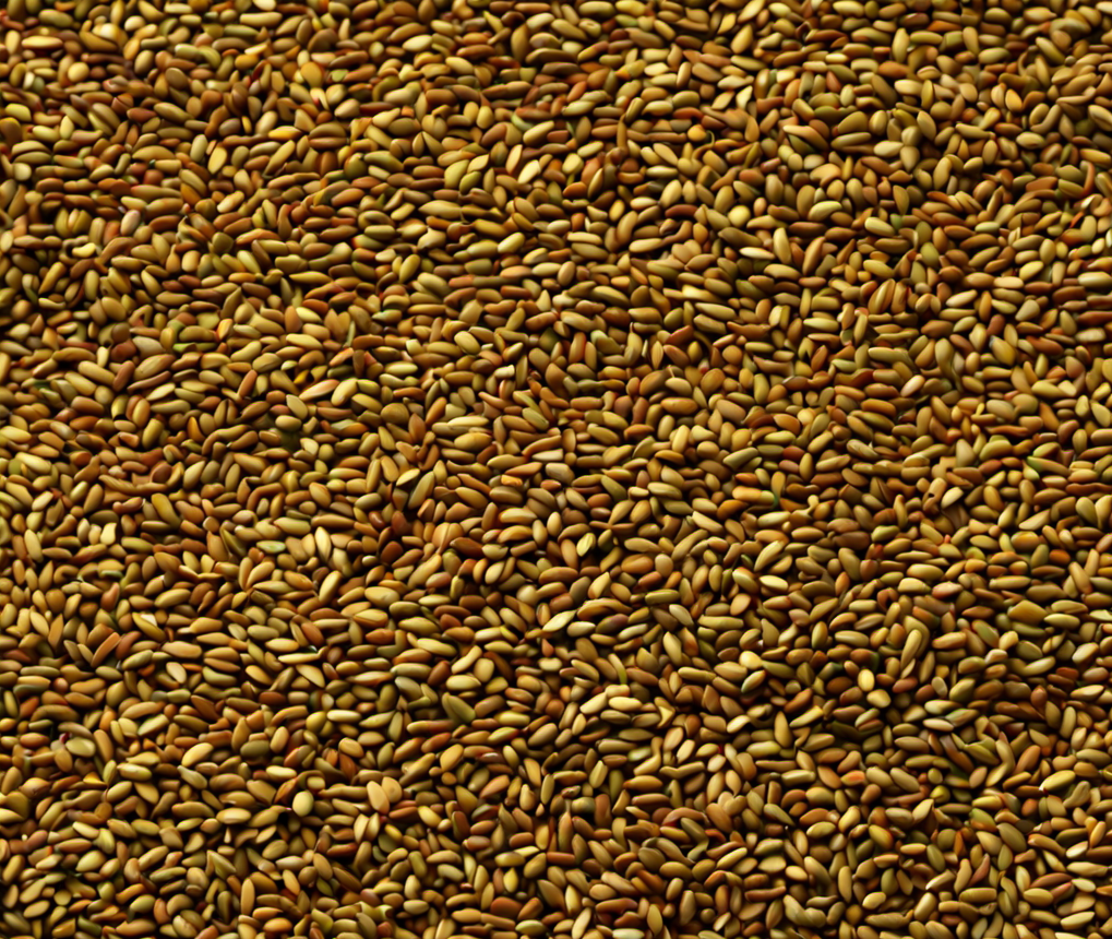 Dill seed & spi 0